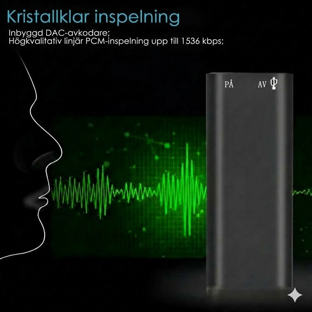 Mini-röstinspelare
