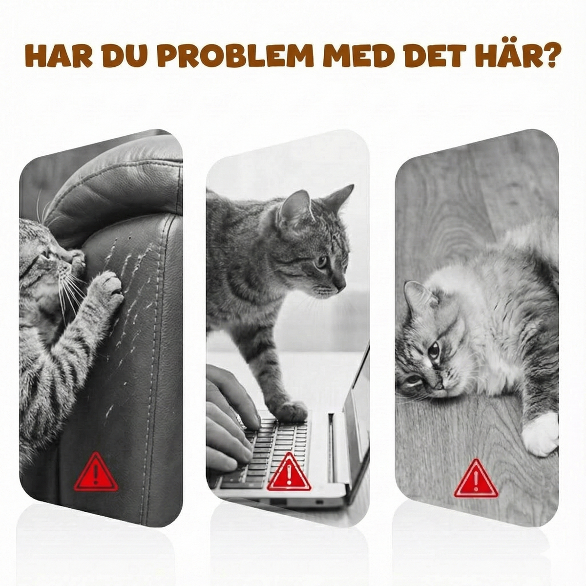 Smart automatisk kattleksak