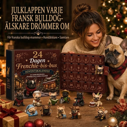 Djuradventskalender 2026 med 24 överraskningar